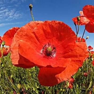 B体育app客户端下载